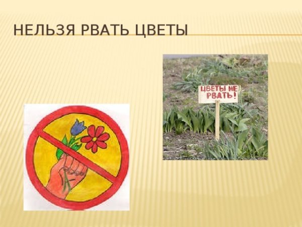 Знак не рвите растения