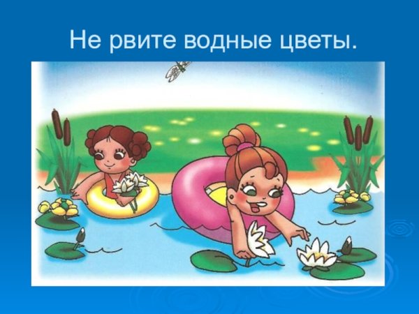 Знак нельзя срывать цветы