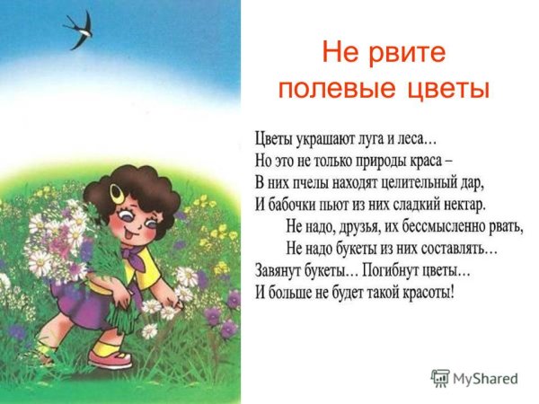 Не рвите редкие цветы