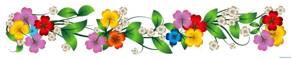 Цветочные бордюры на прозрачном фоне