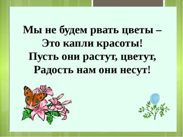 Берегите растения