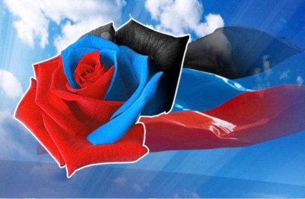 Розы в виде флага России