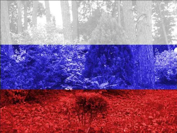 Цвета России