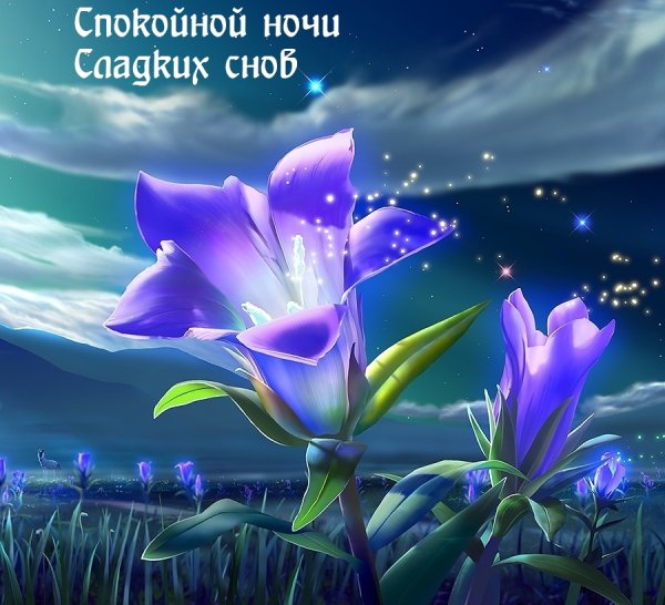 Сказочные цветы