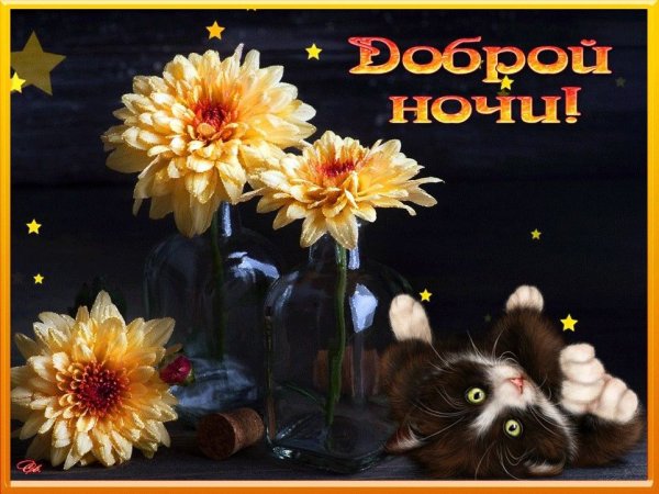 Доброго вечерочка и спокойной ночи