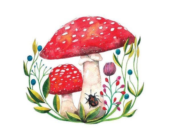 Карточки для детей по группам