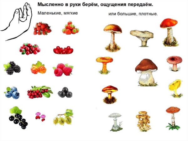 Грибы и ягоды для детей