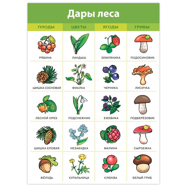 Съедобные и несъедобные грибы таблица для детей