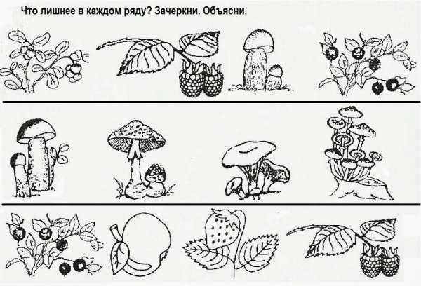 Сказочные ягоды