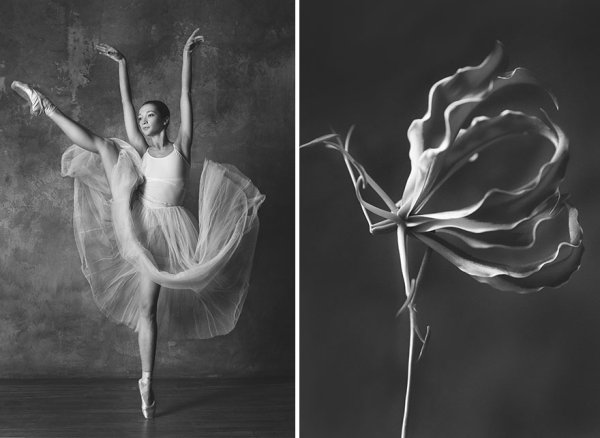 Юлия Артемьева, фотопроект «цветы и балерина» 2020