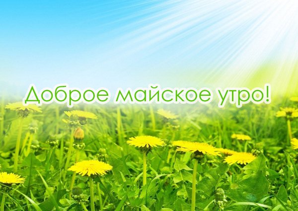 Доброе Майское утро