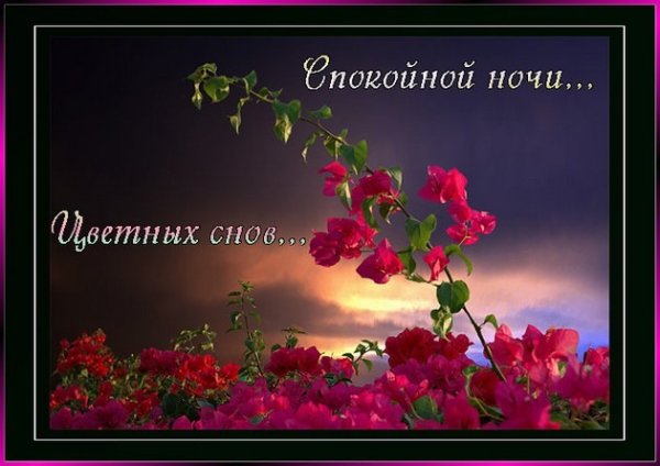 Спокойной ночи цветы