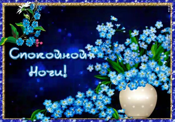 Чудесного вечера и спокойной ночи