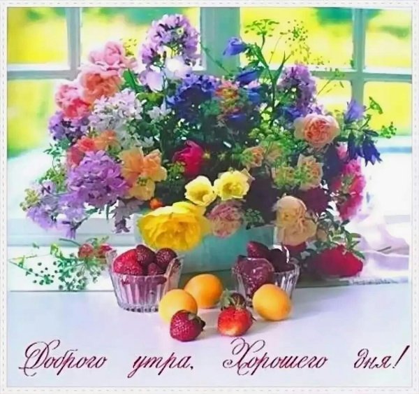 С добрым утром цветы