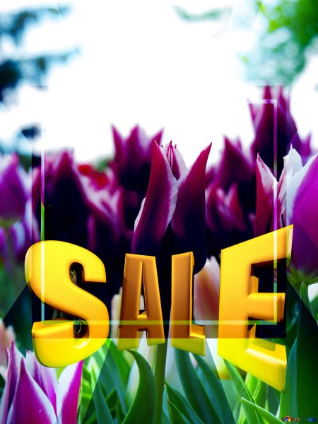 Sale картинка с цветами