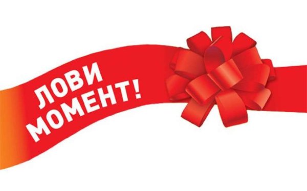 Скидка на цветы в горшках