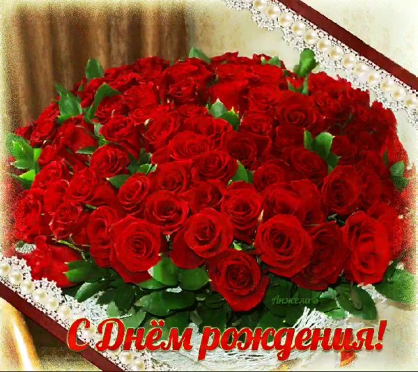 Красивые розы