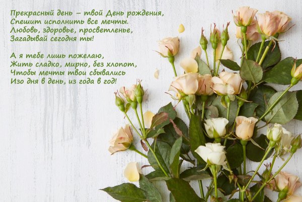 Нежные тюльпаны