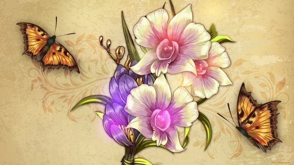 Красивые рисунки цветов и бабочек