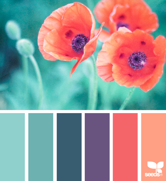 Цветовая палитра Color.romanuke