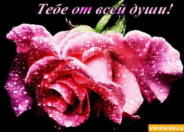 Открытка от всей души...