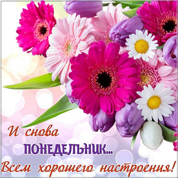 Поздравление с понедельником