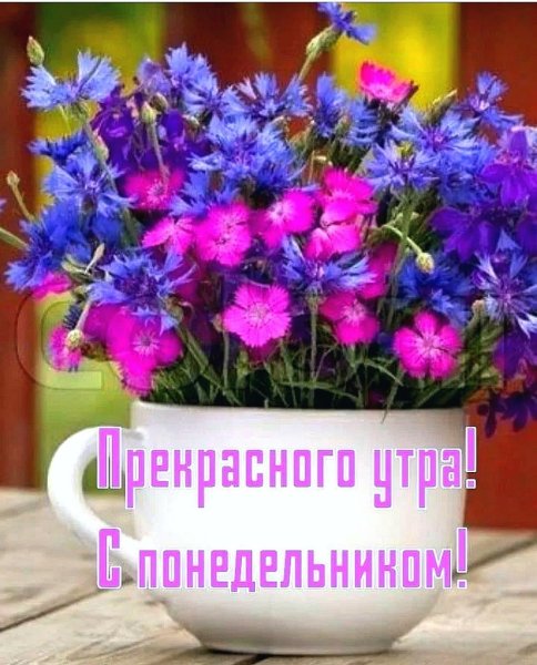 Хорошего настроения и удачного дня цветы