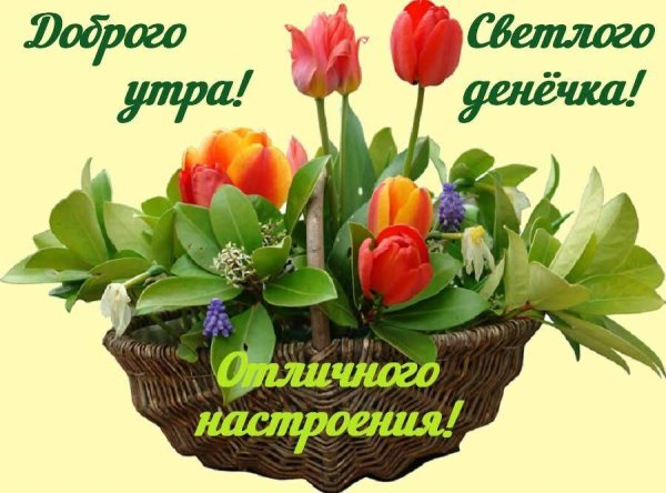 Светлого утра и доброго дня
