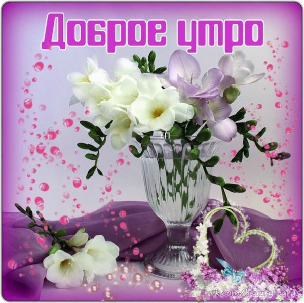 Доброе утро легкого понедельника цветы