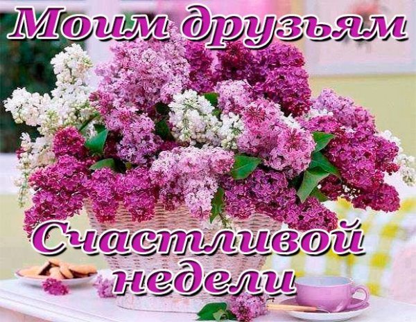 Легкого понедельника цветы