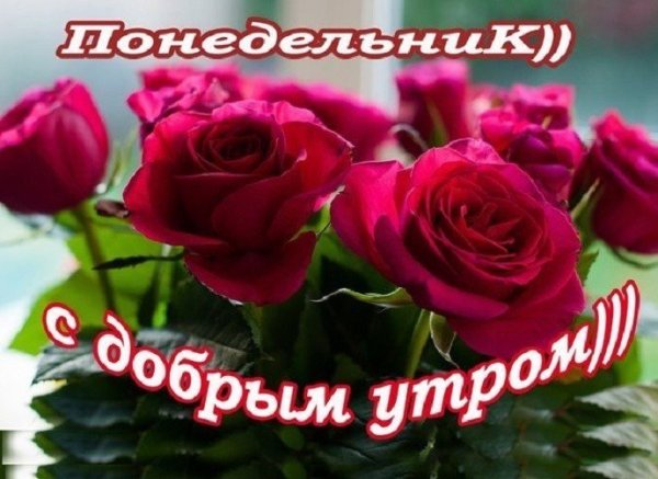 Открытки с добрым понедельником