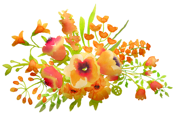 Сардаана сибэкки PNG