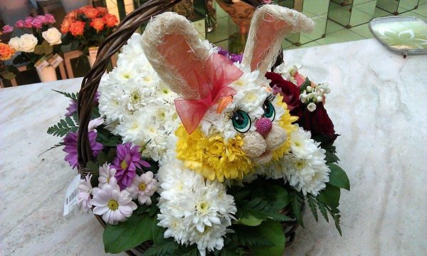 Дарите девушкам цветы