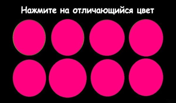 Найди отличия цветы