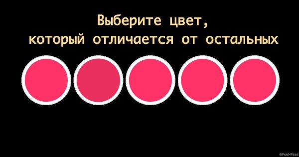 Растительный мир для дошкольников