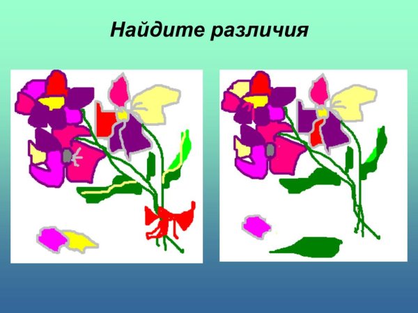 Найди 10 отличий