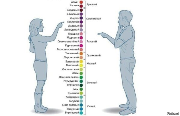 Цвета для дошкольников