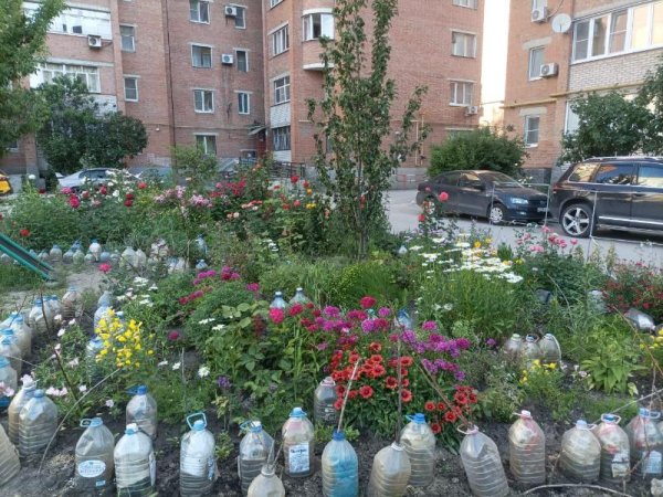 Дом украшенный цветами