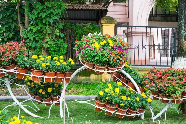 Скамейки в ландшафте