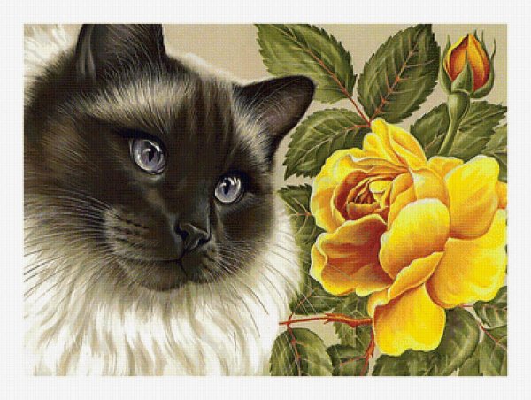Ирина Гармашова коты
