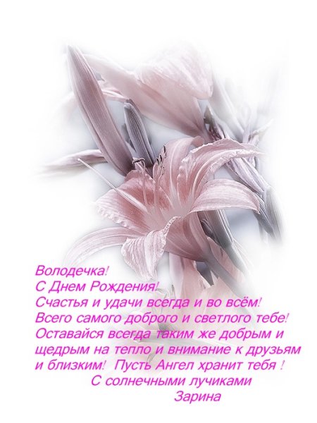 С днём рождения Володя