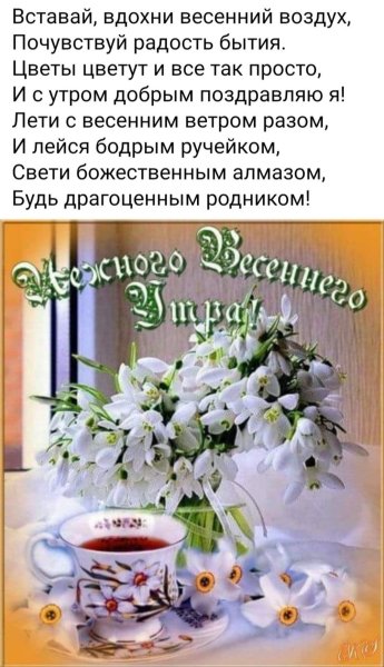 Утренние цветы с пожеланиями