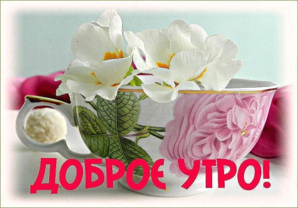 Поздравление с добрым утром