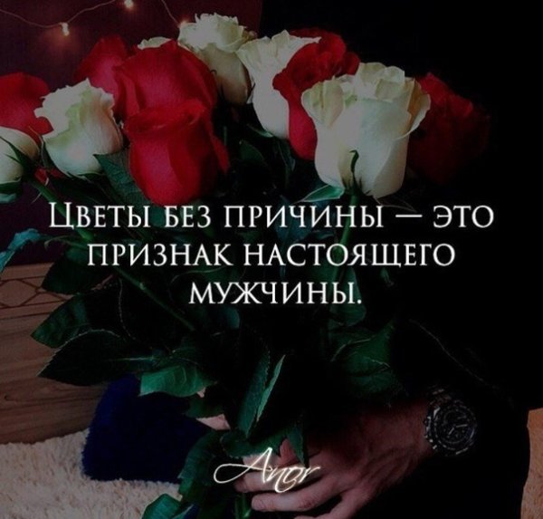 Дарите цветы без повода афоризмы