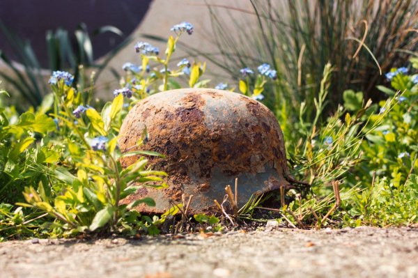 Война каска природа