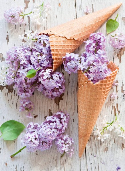 Мороженое из сирени