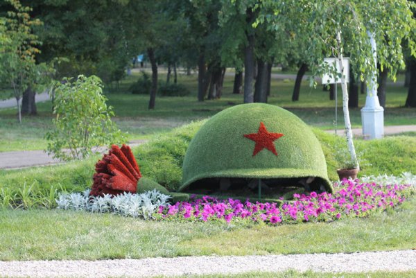 Топиарная каска с гвоздикой