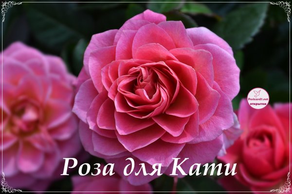 Цветы для Кати