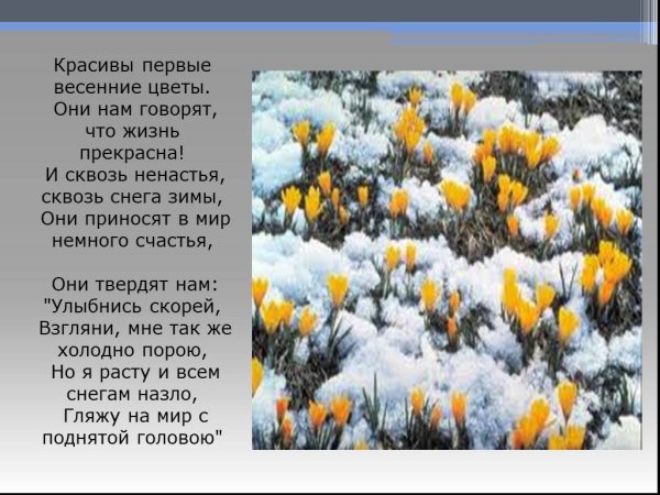 Стихи о весенних цветах