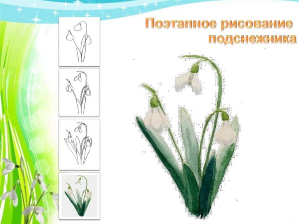 Подснежники схема рисунка
